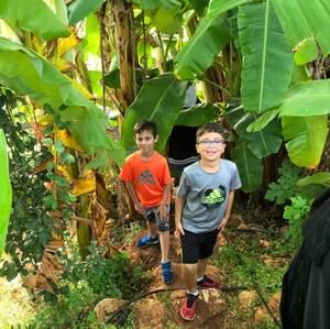 Meet your Posher, Lama